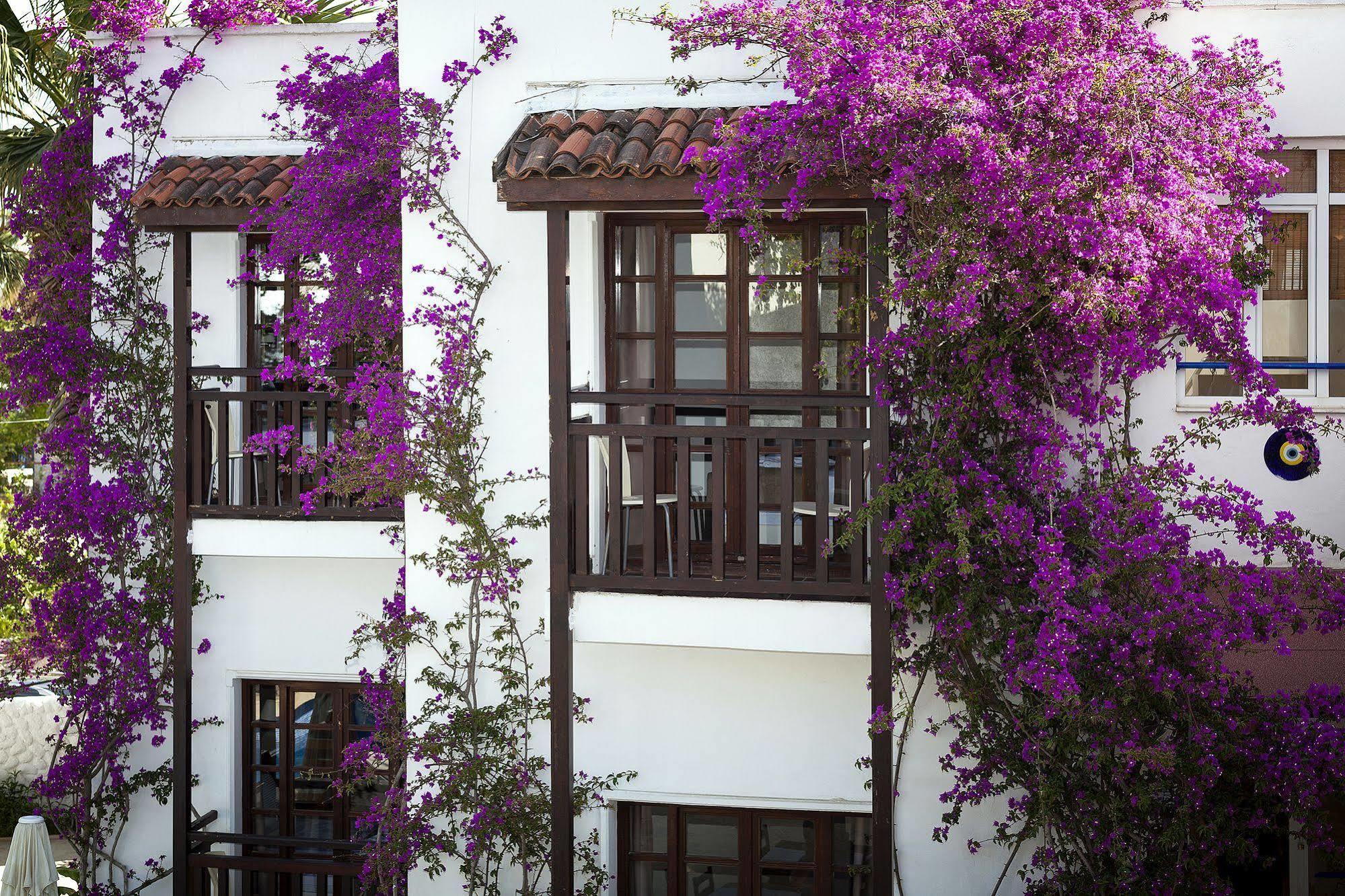 Orion Hotel Bitez Exteriér fotografie